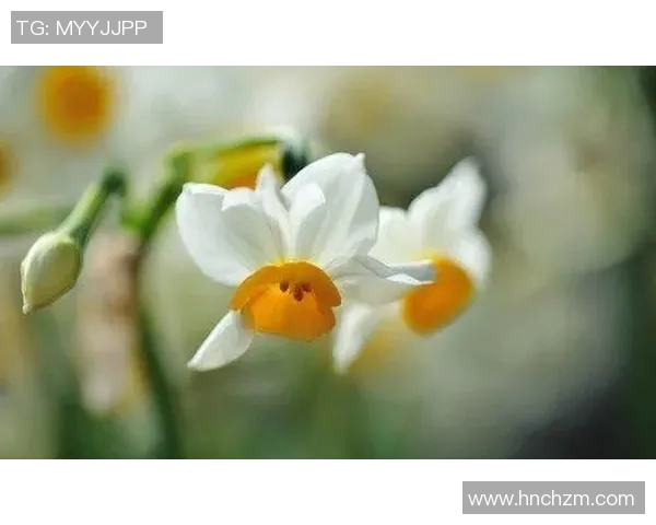 张骋宇：从平凡到卓越的奋斗历程与人生哲学探讨